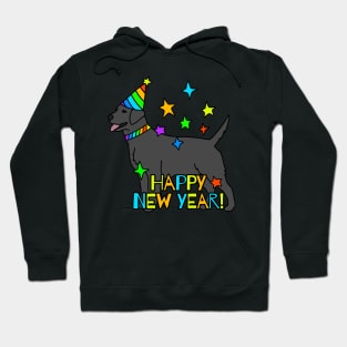 Happy New Year Hoodie